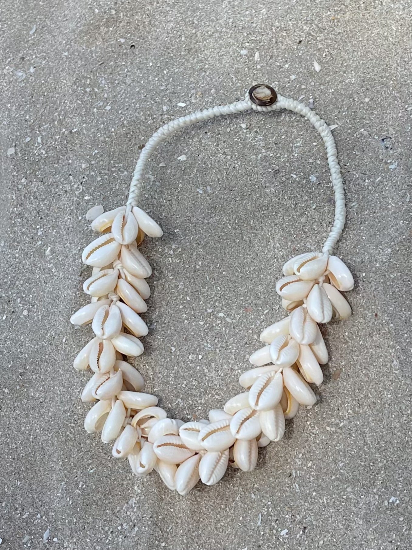 Shop Chunky Cowrie Sea Shell CHOKER Bohemian Beach Cowrie Necklace with Coco de Chom