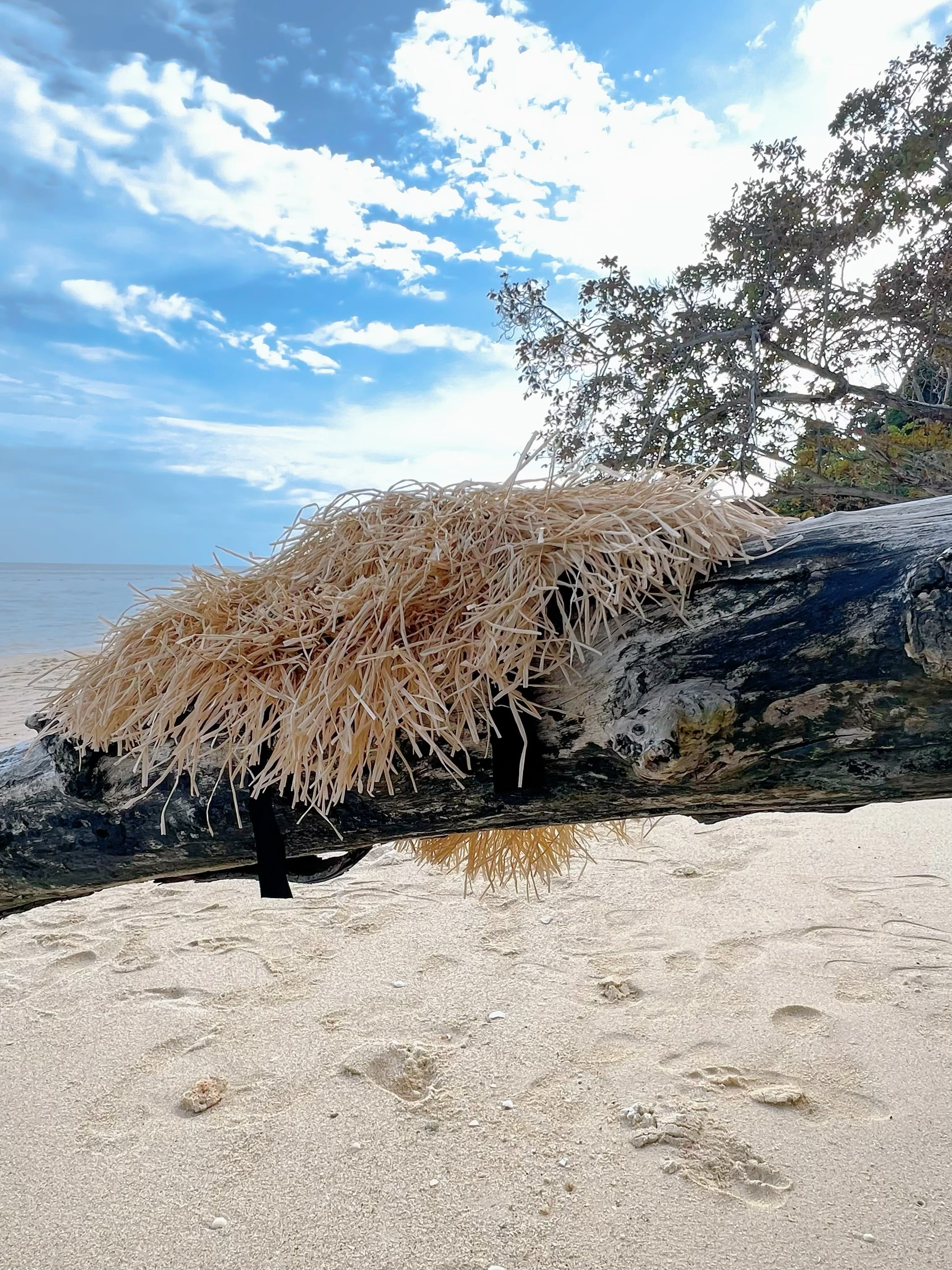 Natural Raffia Straw Hat – your ultimate beach accessory! Handmade with sustainable materials, this sun hat combines chic style with practicality. Featuring charming ribbon ties, it offers the perfect blend of fashion and sun protection. 