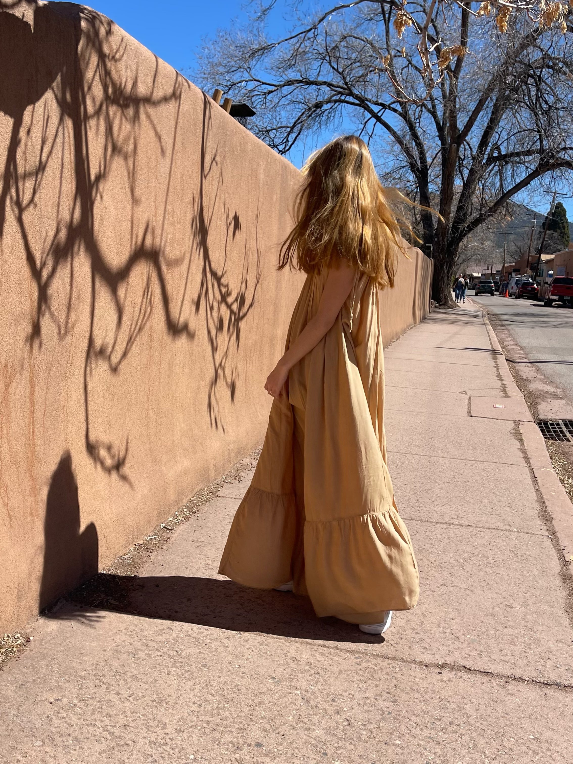 Mali Backless Maxi Dress - Tan