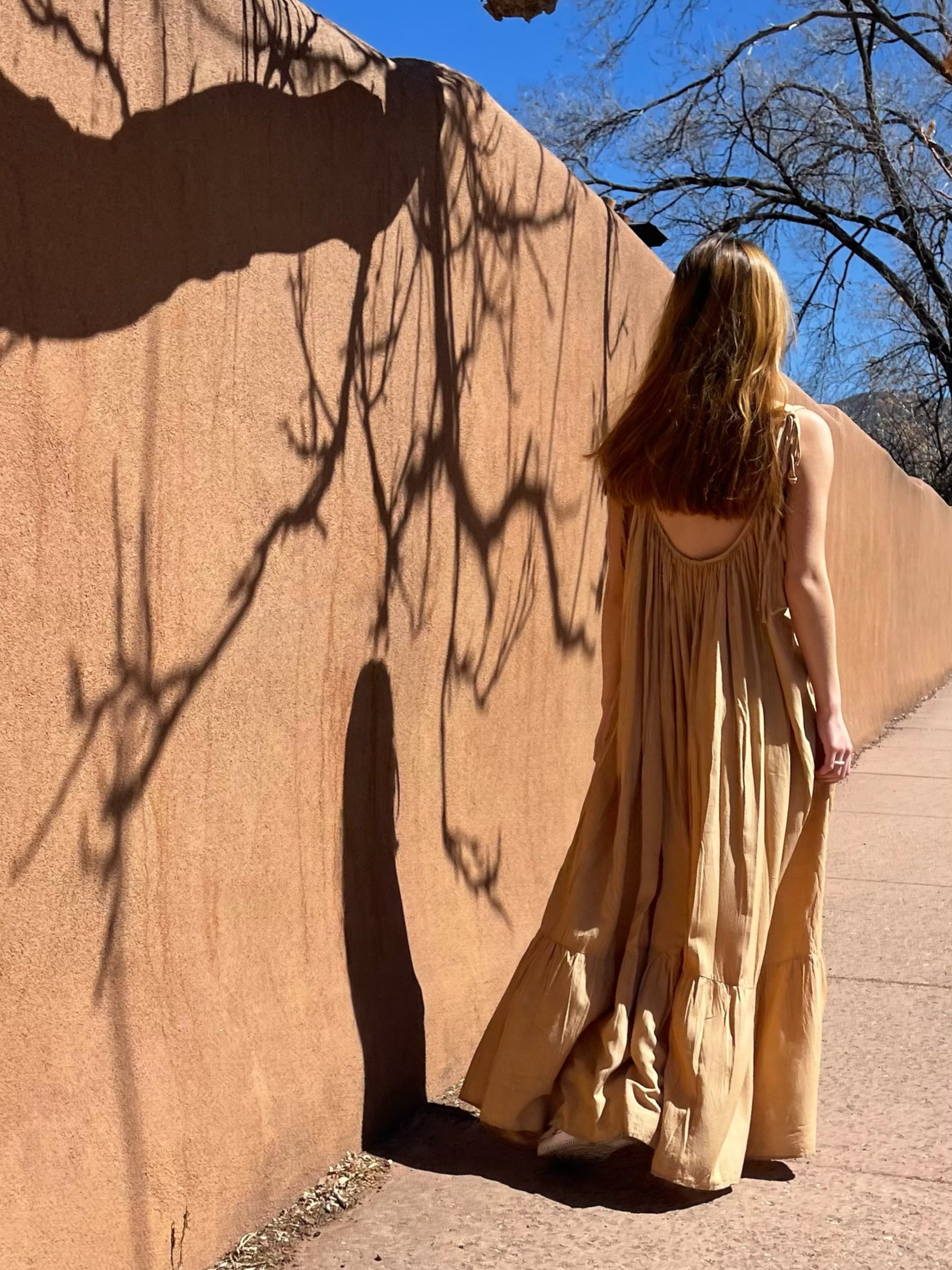 Mali Backless Maxi Dress - Tan