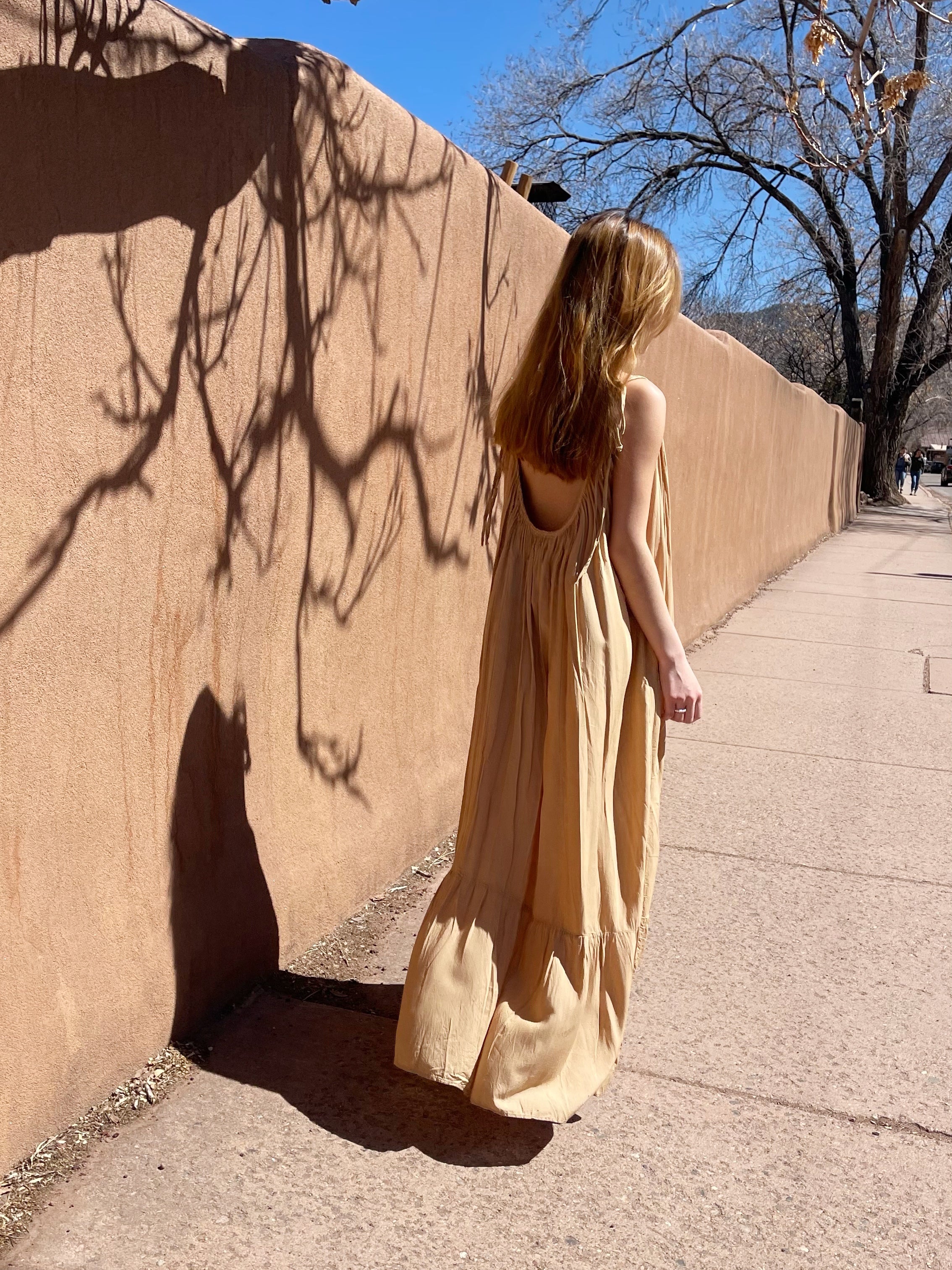 Mali Backless Maxi Dress - Tan