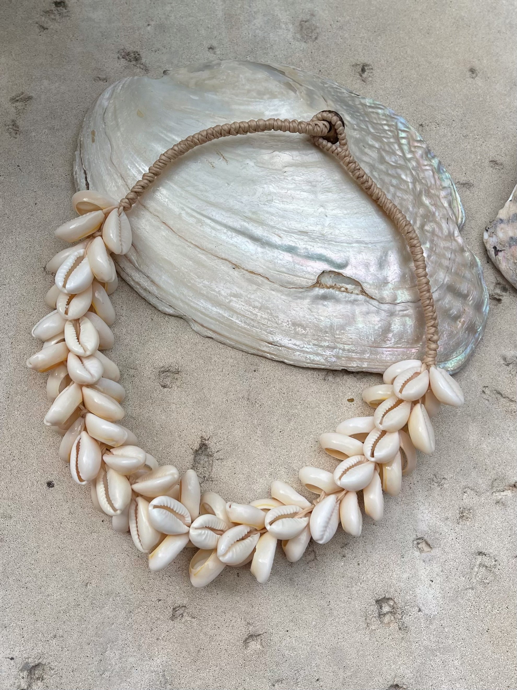 Ocean Cowrie Seashell Choker Necklace