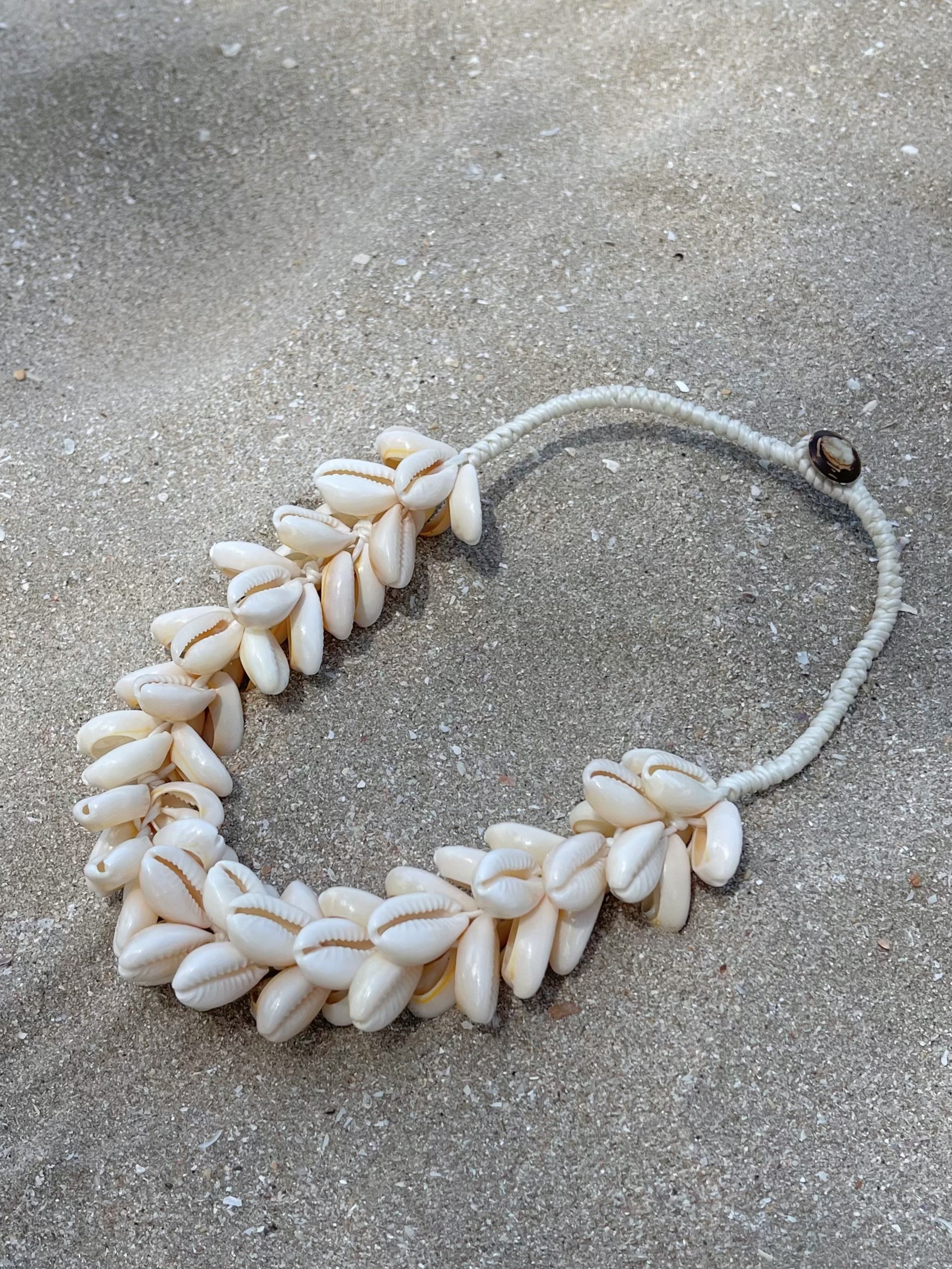 Ocean Cowrie Seashell Choker Necklace