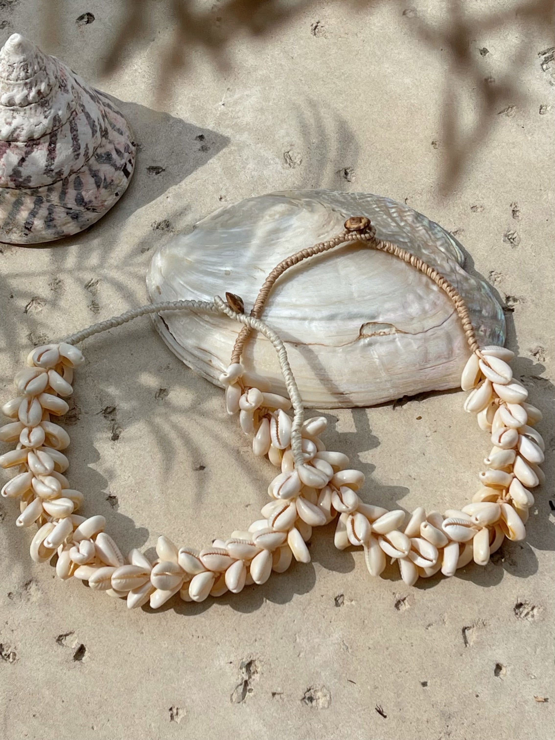 Ocean Cowrie Seashell Choker Necklace