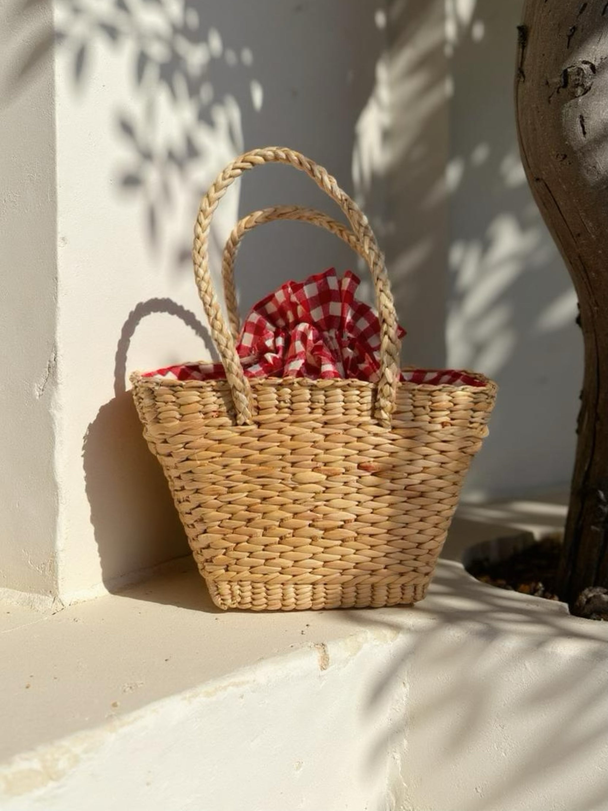 Handwoven straw mini tote bag with red gingham lining